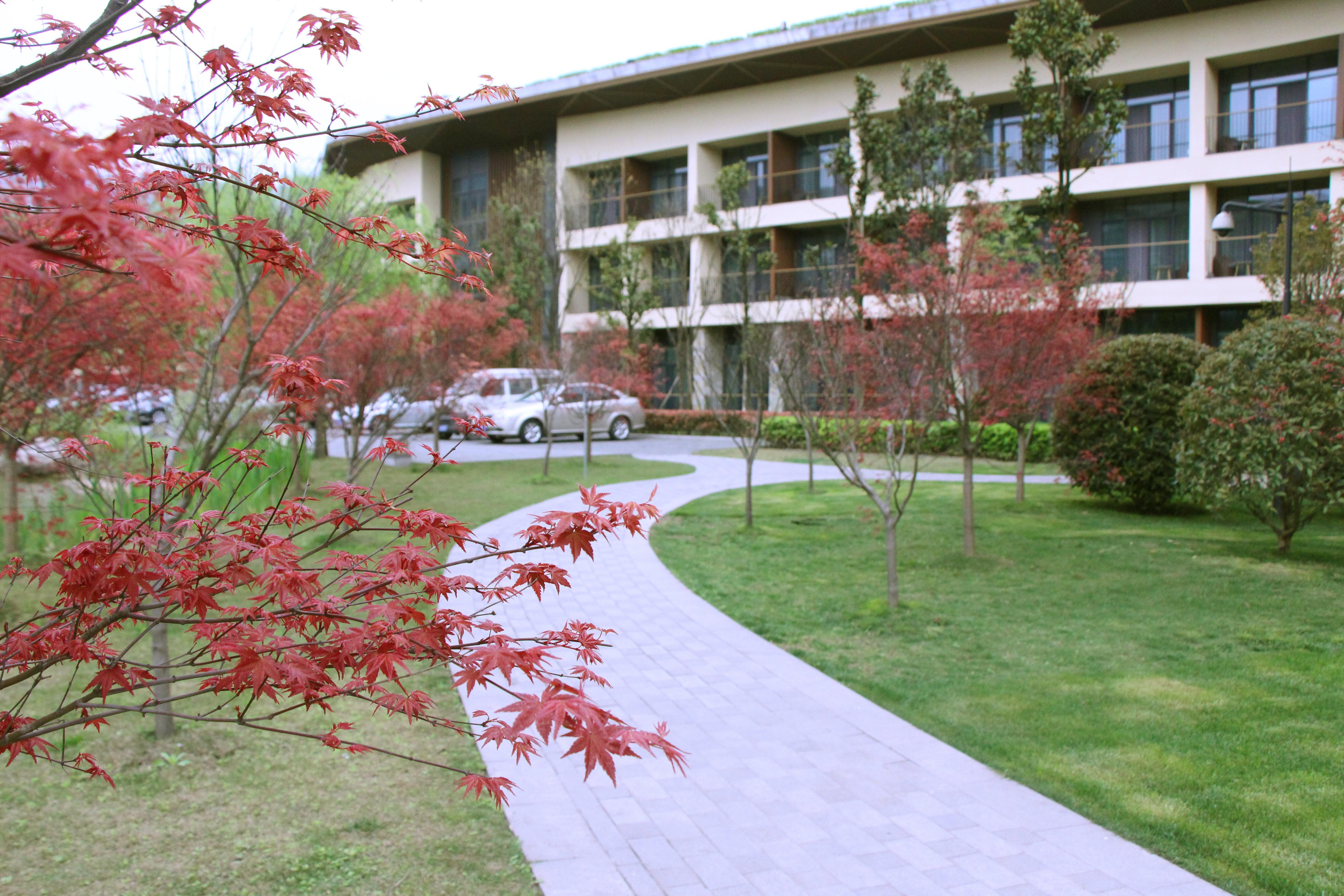 Holiday Inn Express Emei Mountain By Ihg Emeishan Luaran gambar