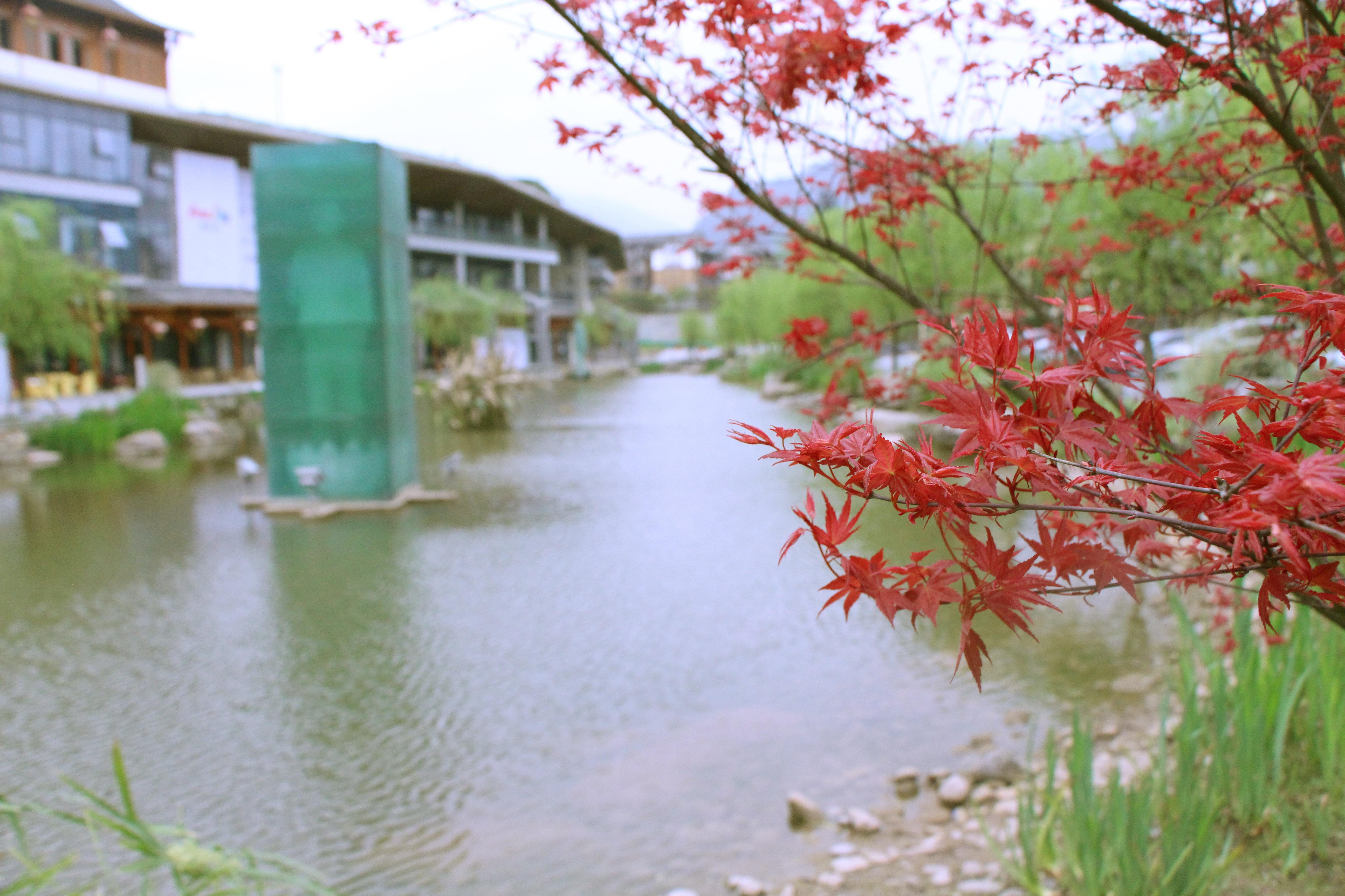 Holiday Inn Express Emei Mountain By Ihg Emeishan Luaran gambar