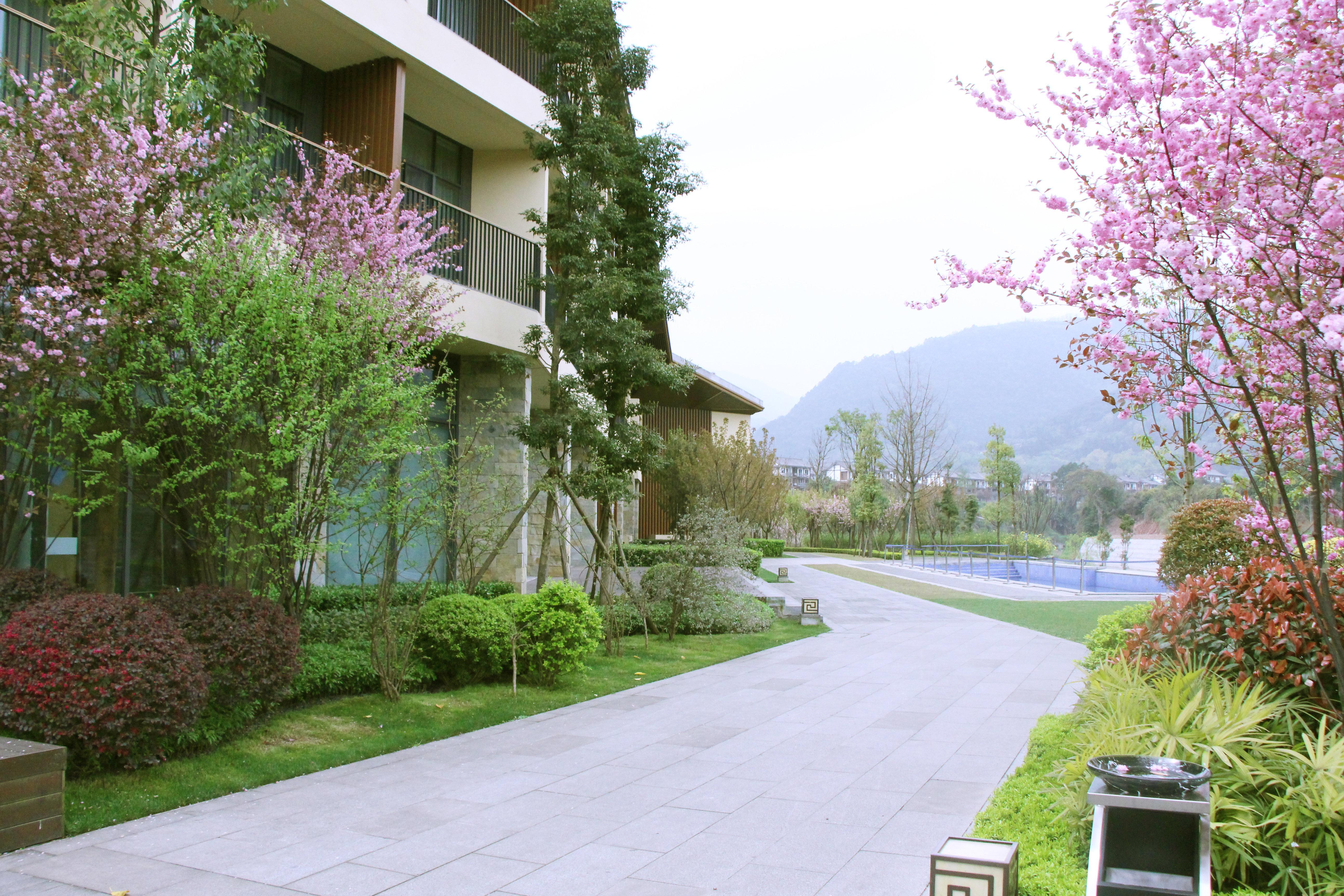 Holiday Inn Express Emei Mountain By Ihg Emeishan Luaran gambar